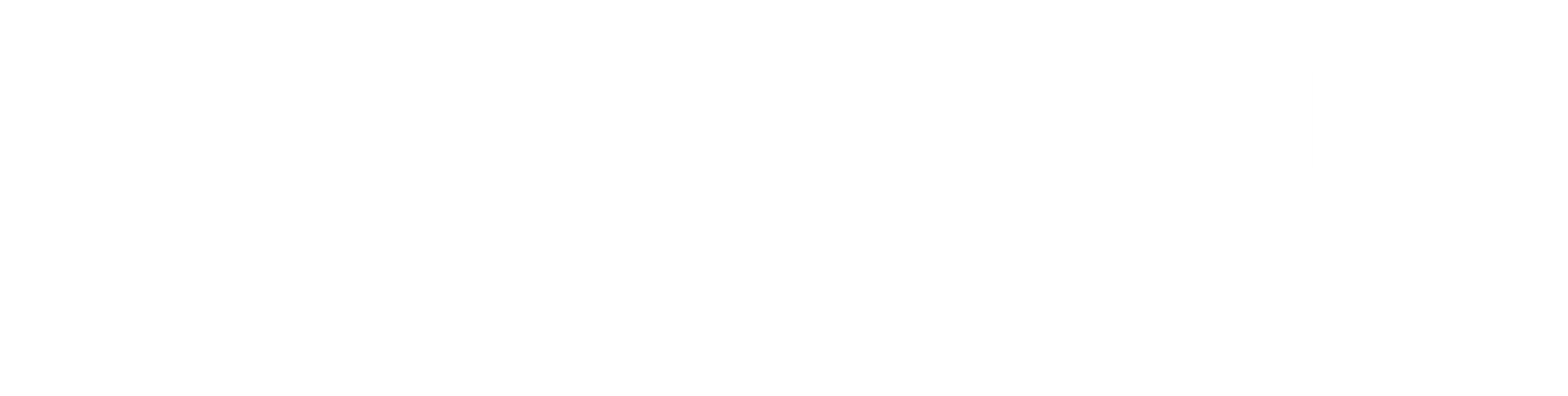 Bluff Fishing Charters Logo